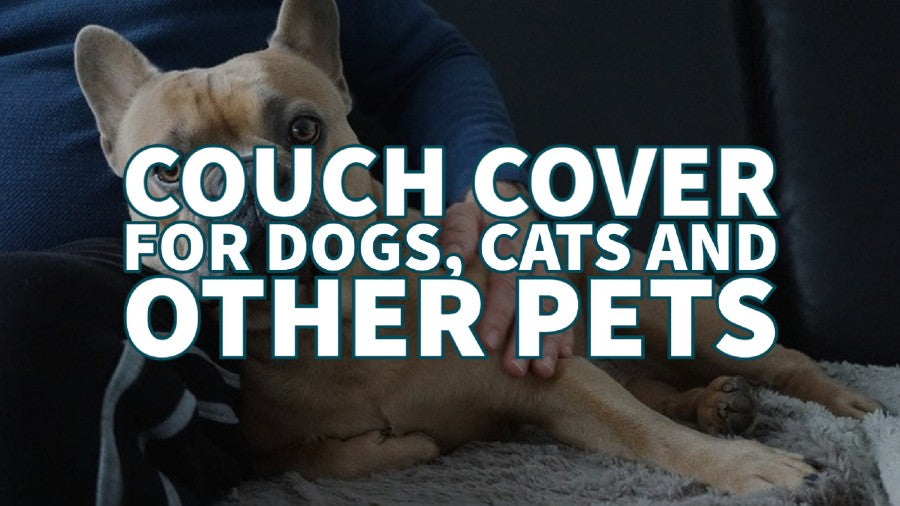 What is the best couch cover for dogs, cats and other pets?